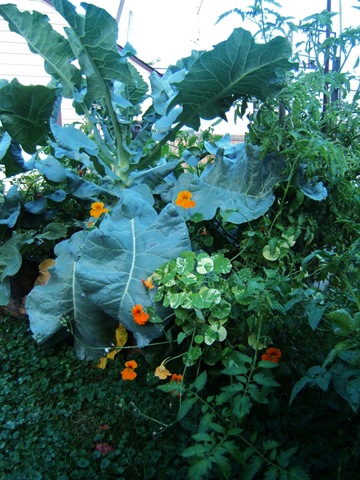 [2008_0817image0052[4].jpg]