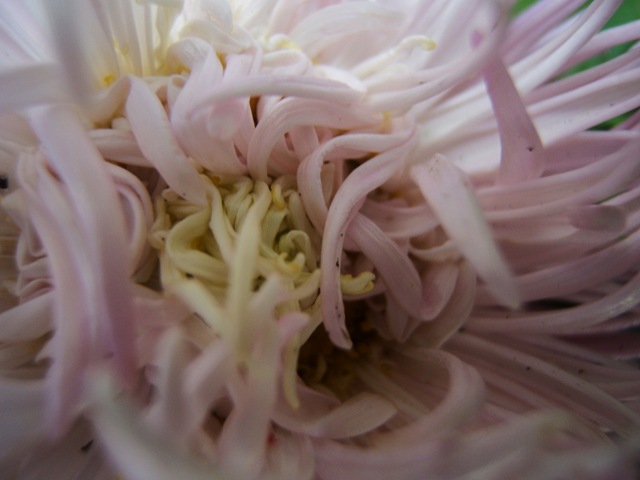 [2008_0823image0016[3].jpg]