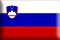 flags_of_Slovenia.gif.jpg