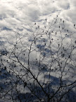 P1010153.jpg