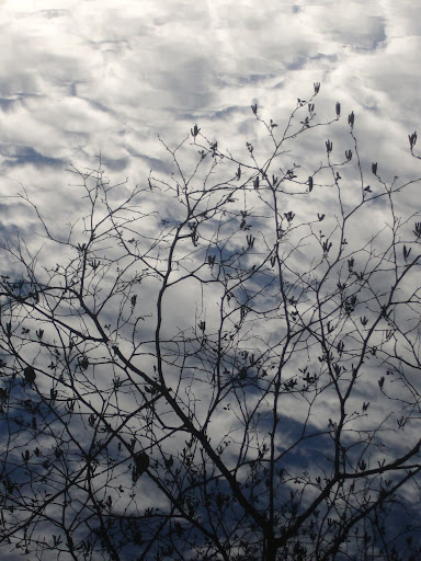 P1010153.jpg