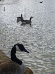 P1010473.jpg