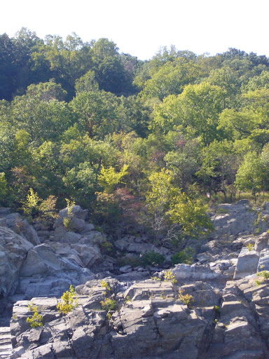 P1000978.jpg