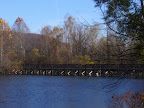 P1010126.jpg