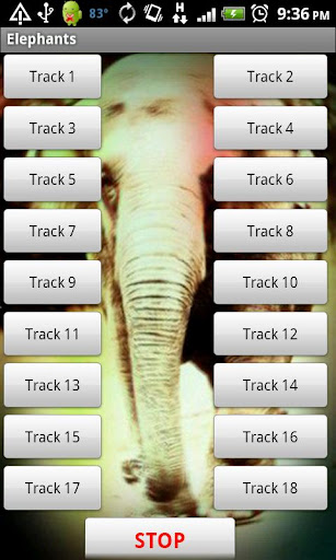 Elephant Sound Effects