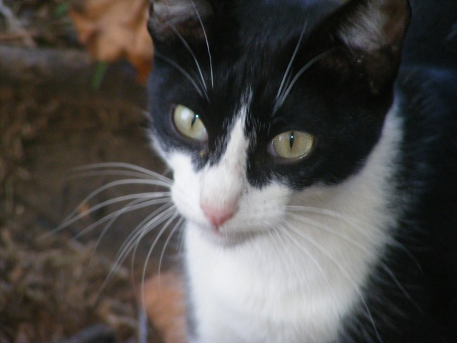 [Nathan's first attempt at using my camera[2].jpg]
