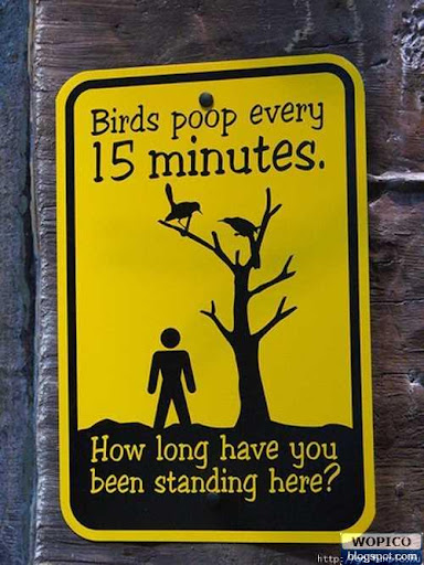 Birds Warning