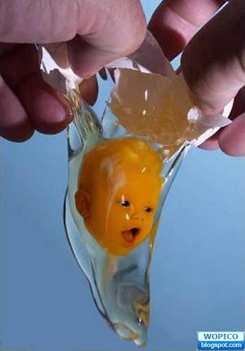 Face in the Egg