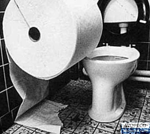 Biggest Toilet Paper
