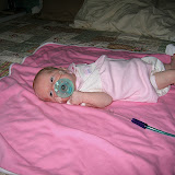 2006 Pictures