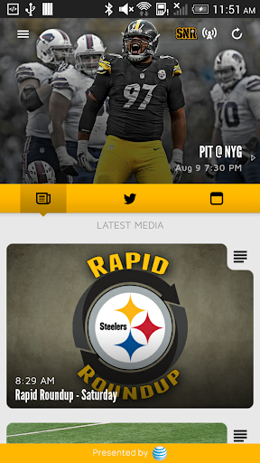 Pittsburgh Steelers For PC