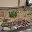 Flora's Foundation garden
