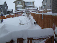 Standing in the potty area looking east.