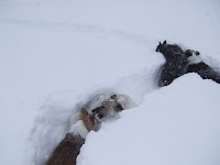 Battle in the snow.