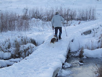 Keep walking Human!
