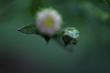 IMG_0897.JPG