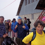 dan peti