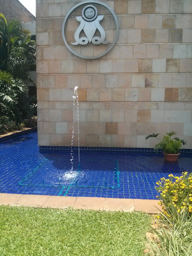 Fuente De Agua Lasca