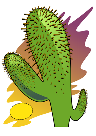[cactus[4].png]