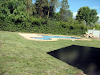 Pasto Alfombra Su Jardin En  24 Horas