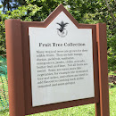 Fruit Tree Collection