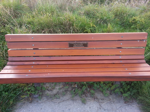 Delores Memorial Bench  
