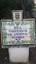 Rua Professor Dr. António Flores