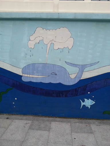Дельфин На Стене