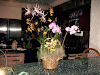 Alquiler De Orquideas