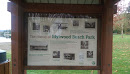 The History of Idylwood Beach Park