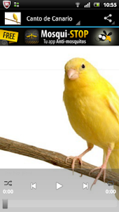 How to mod canary lastet apk for pc