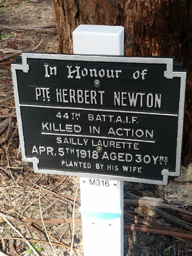 Private Herbert Newton