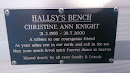 Hallsy's Bench