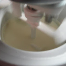 Toasty Coconut Ice Cream