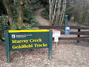 Murray Creek Goldfield Tracks