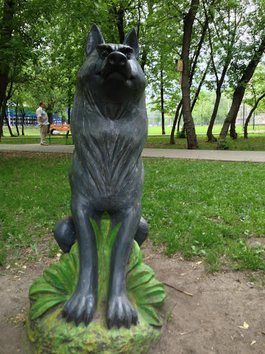 Wolf at Festyvalny Park