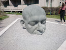 Head at Side of the Road