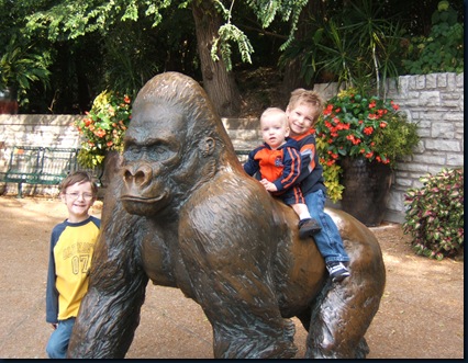 zoo 012