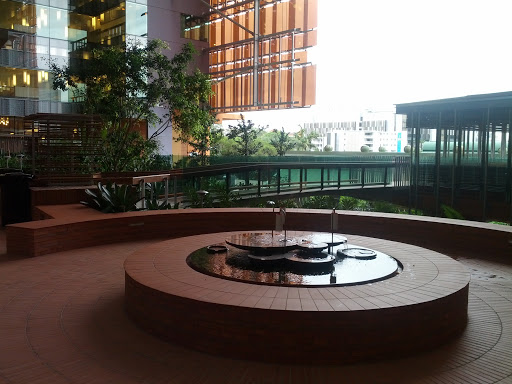 Water Feature T.R.I. Building