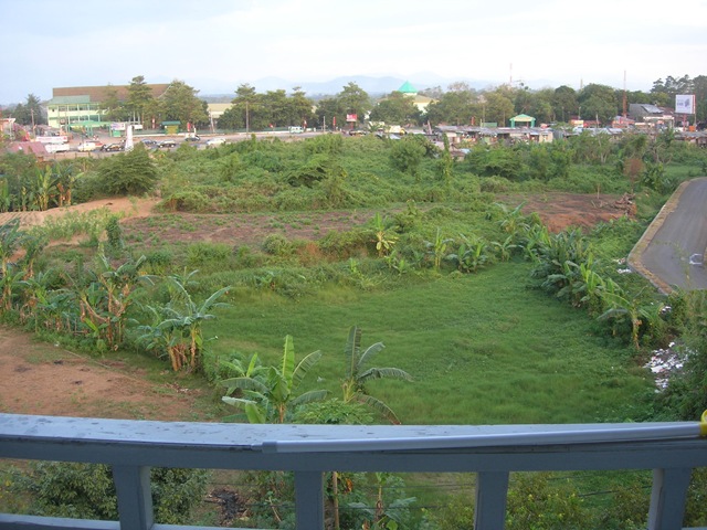 [DSCN77102.jpg]