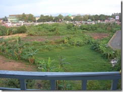 DSCN7710