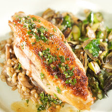 Chicken with White Wine and Herb Sauce