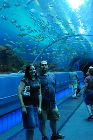 [DSC_0285[2].jpg]