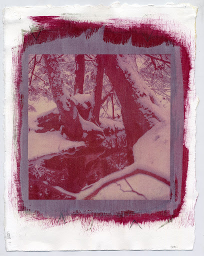 Black Moshannon Blue Trail - 3 layer gum