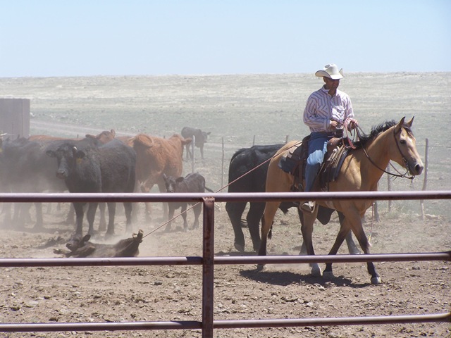 [06 18 08_0920[3].jpg]