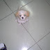 P1010347.JPG