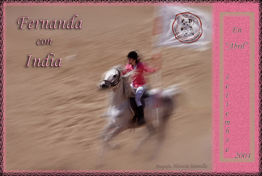 Horse and rider. Foto: Horacio Iannella