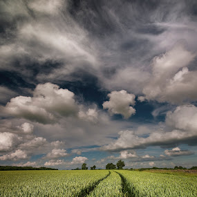 Birdlip by Nick Holland - Landscapes Prairies, Meadows & Fields