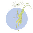 CricketsBlog