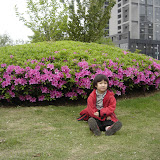  2008浒山街边公园拍的照片